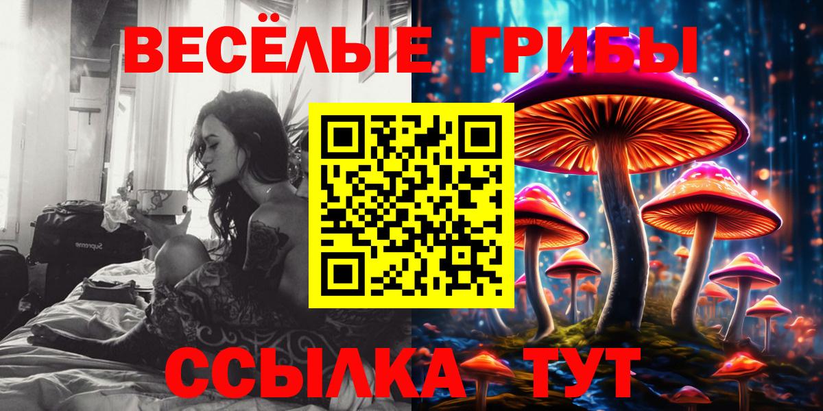 Галлюциногенные грибы Psilocybine cubensis  Вход с VPN  где можно купить   Энгельс 
